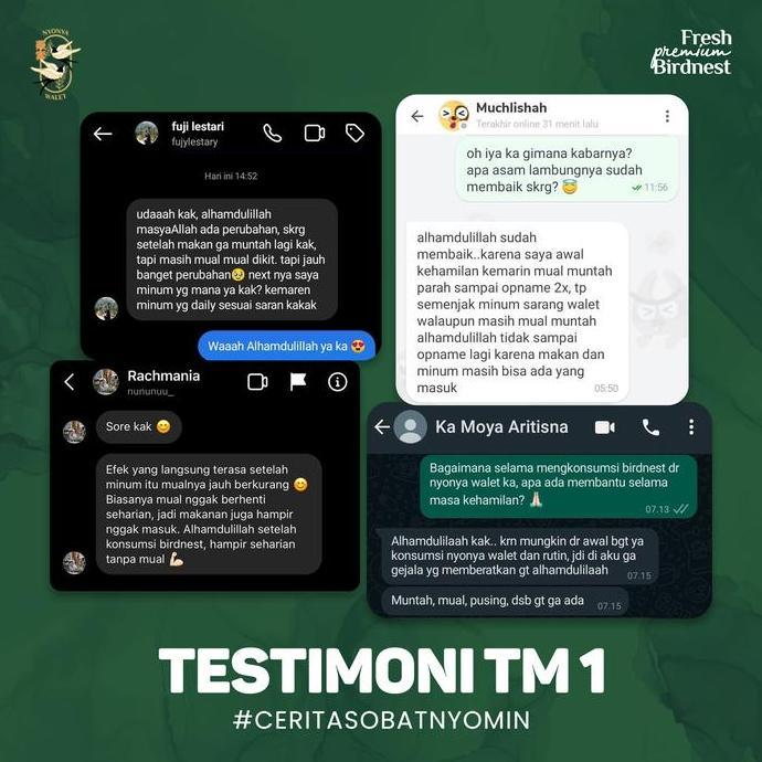 Grildd- Nyonya Walet - Minuman Sarang Walet - Bird Nest Drink - Daily Nest (35% Bird Nest) - Box 8