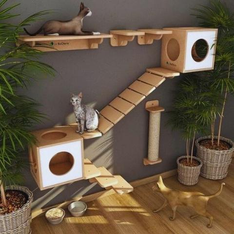 [ZGR] Cat wall playground / Cat condo / Cat tree / Garukan kucing / Mainan kucing