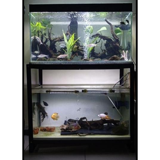 -HSR- Rak aquarium 60x30 2 susun murah