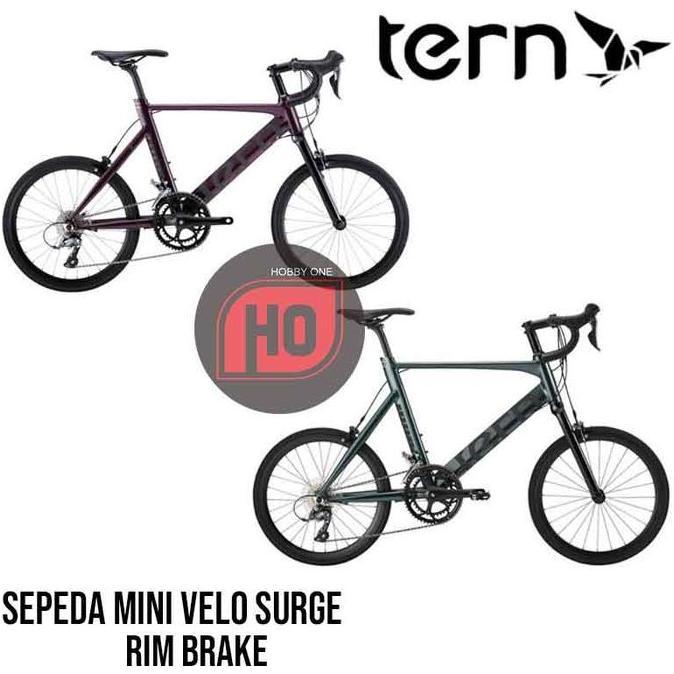 TERN SURGE Mini Velo Bike Rim Brake - Sepeda Mini