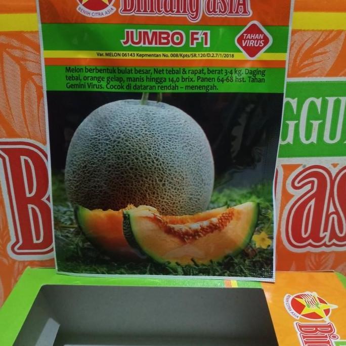 Allthebest- Melon JUMBO F1 "bintang asia"