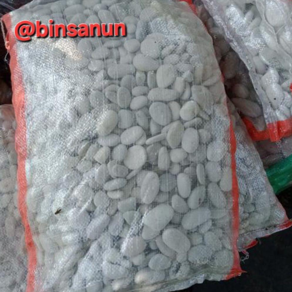 Batu hias 8 kg- batu koral putih kupang 1 karung-MAKSIMAL 1  KARUNG