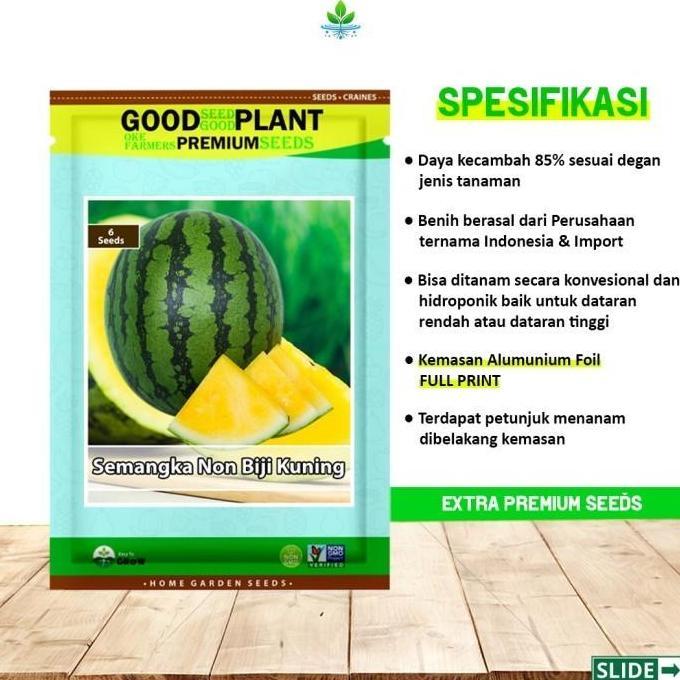Extra Premium - 6 Biji Benih Bibit Semangka Non Biji Kuning F1