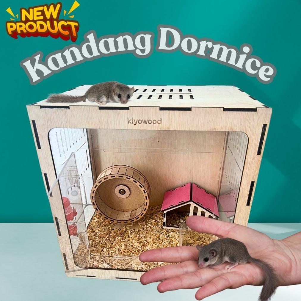 READYY Kandang African Pigmy Dormice Kayu Akrilik Model Pintu Depan