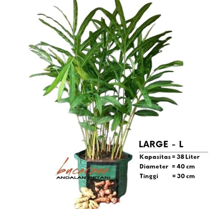 Easy Grow Rhizoma Planter Bag Jahe