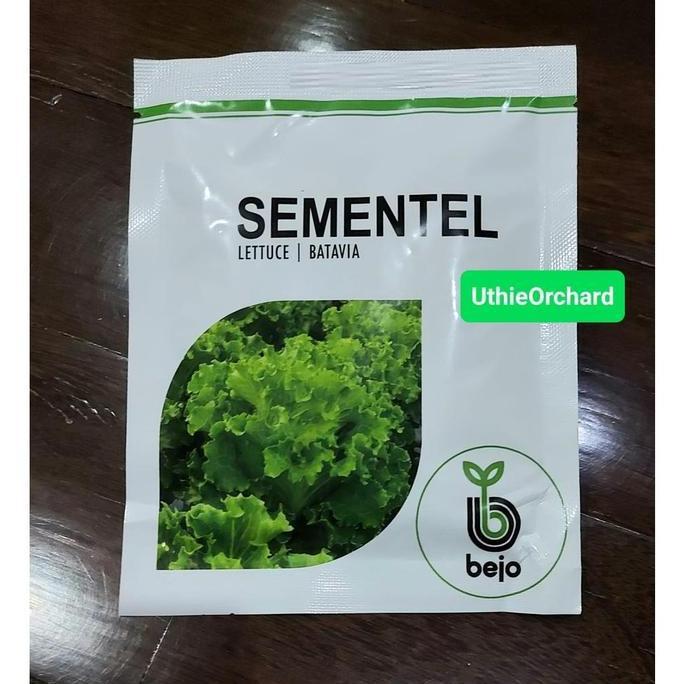 Benih Bejo Seed - Selada Batavia Sementel Kemasan 1000 pills