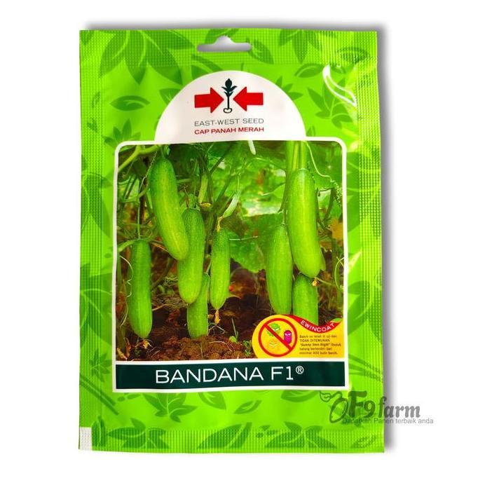 Benih Bibit Timun Bandana Mentimun Lalap lalab 175 Biji Cap Panah Merah