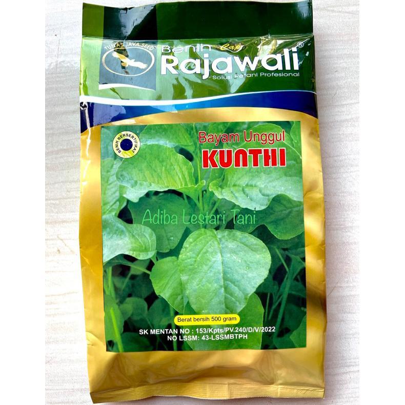 Benih Bayam KUNTHI 500 Gram - Bibit Bayam Cap Rajawali