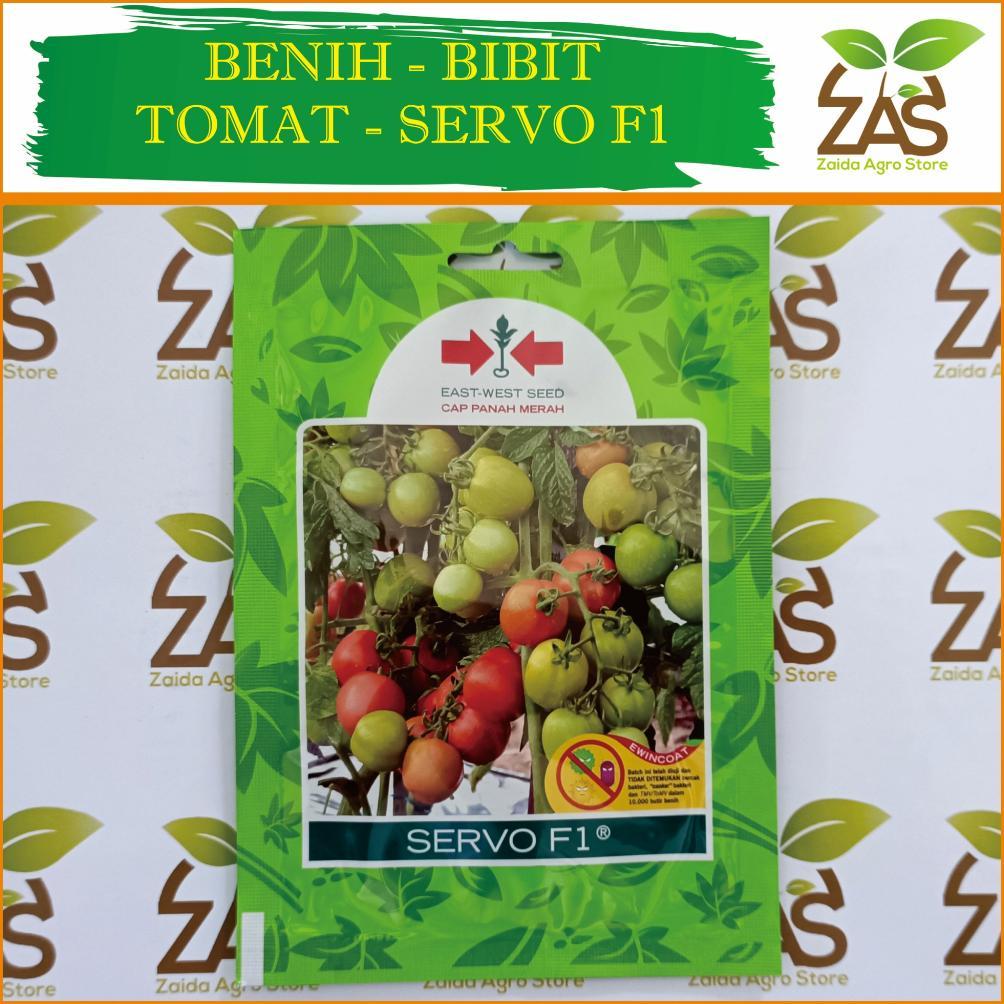 BENIH BIBIT TOMAT SERVO F1 - BIBIT TOMAT - ISI 150 BUTIR - CAP PANAH MERAH