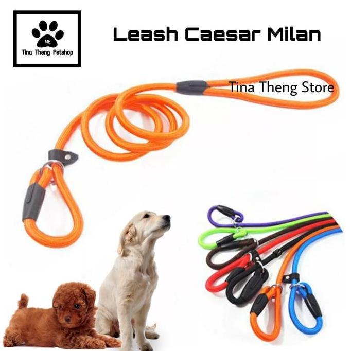 Tablock- Tali Tuntun Anjing Cesar Milan " Large " Tali Tuntun Pelatih