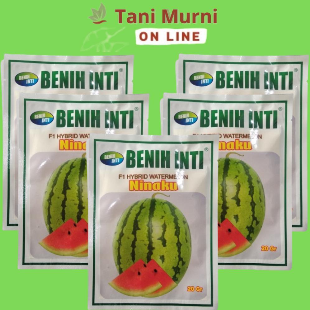 Benih Semangka Lorek Merah Hybrid F1 NINAKU Benih Inti 20 Gr
