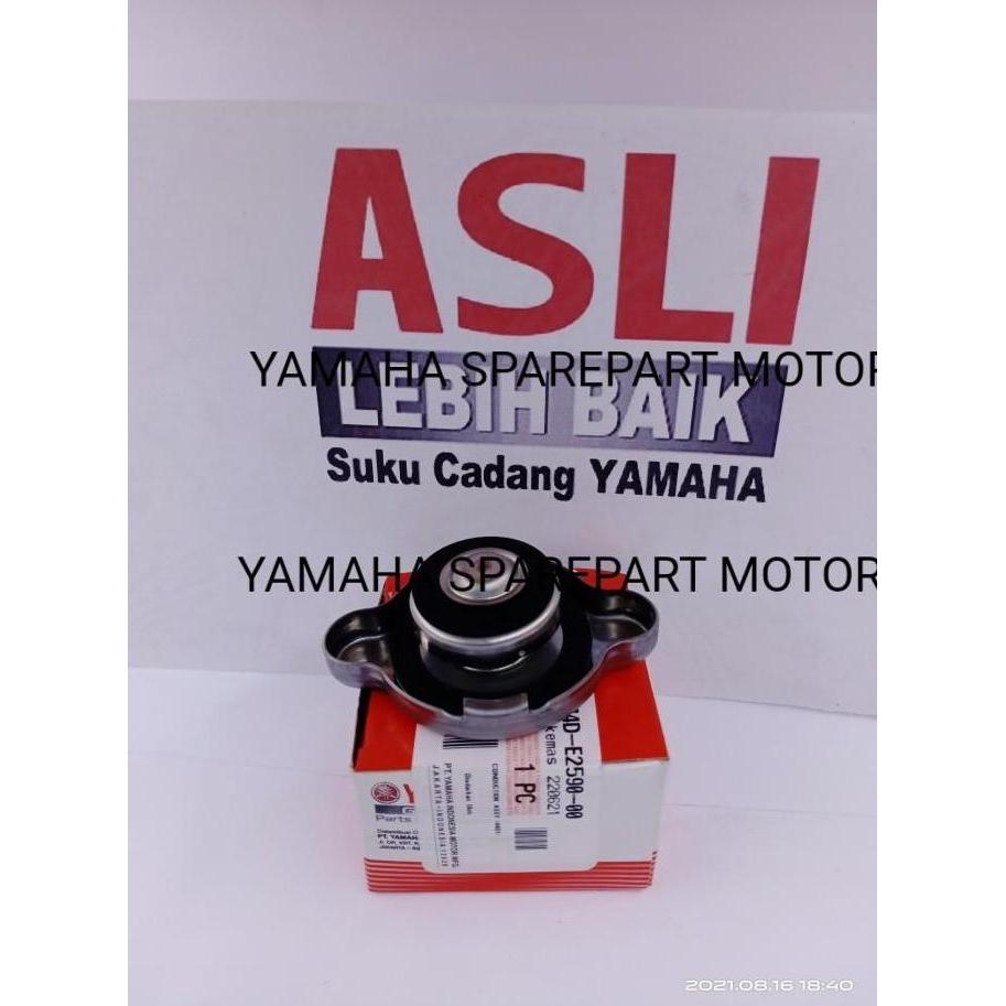 Tutup radiator yamaha xeon karbu,xeon rc,xeon gt 125 original part TERBATAS