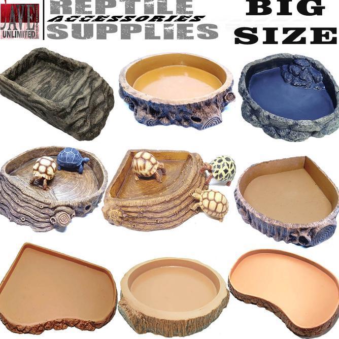 Big Size Feeding Water Dish Waterdish Tempat Makan Minum Reptile Kura-Kura Darat Tortoise Sulkata Su