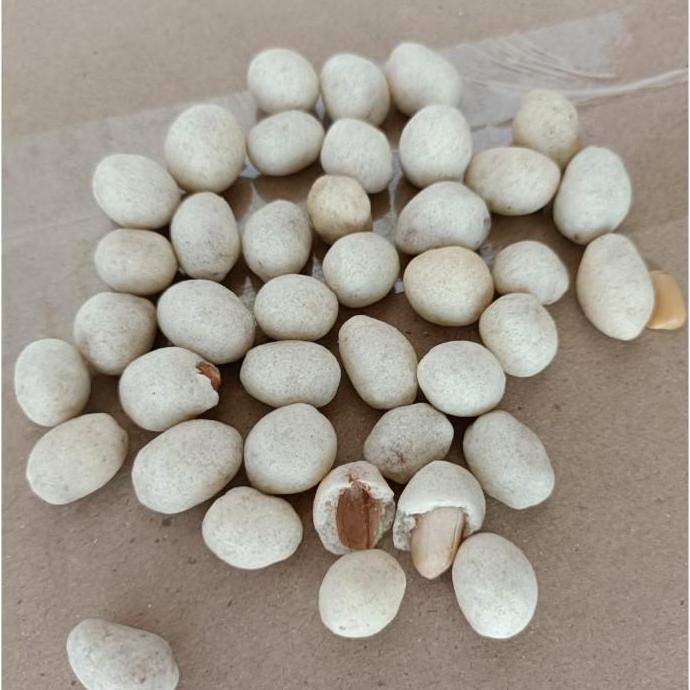 kacang shanghai OKE 500gram