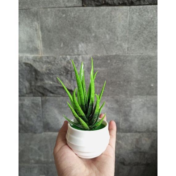 BestPromo (Cod) Bunga Kaktus Hias Mini Lidah Buaya Artificial Sukulen Mini