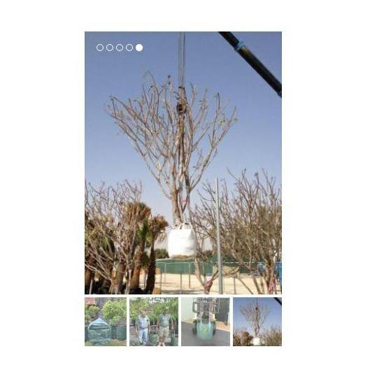 Easy Grow Planter Bag 100 liter