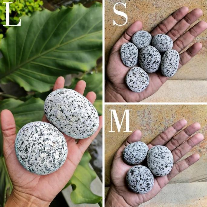 Batu Koral Telur Puyuh