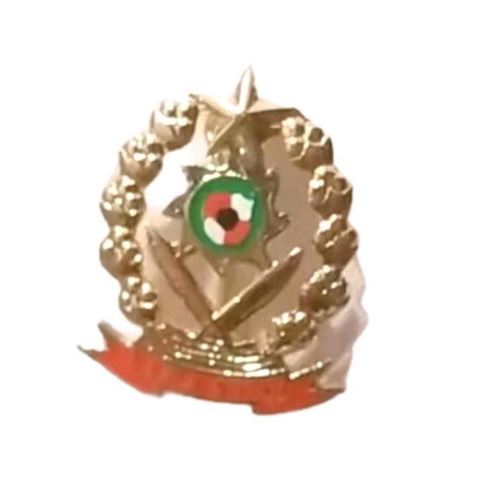 PIN IPASPI / PIN IPASPI CAKRA MAGNET PENITI PAKU Ready