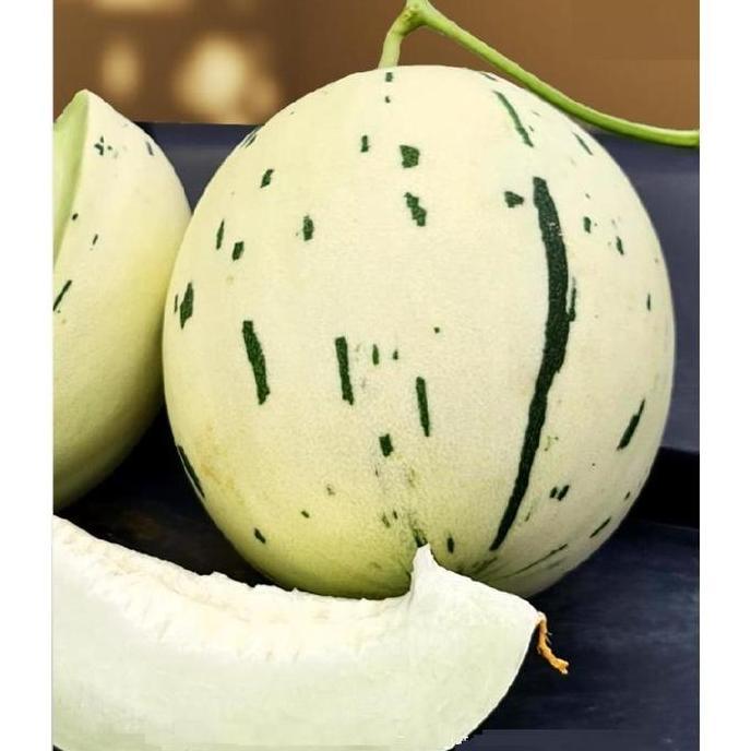 Mara Premium Selection - Benih Melon C. Dalmation F1 7 Seeds