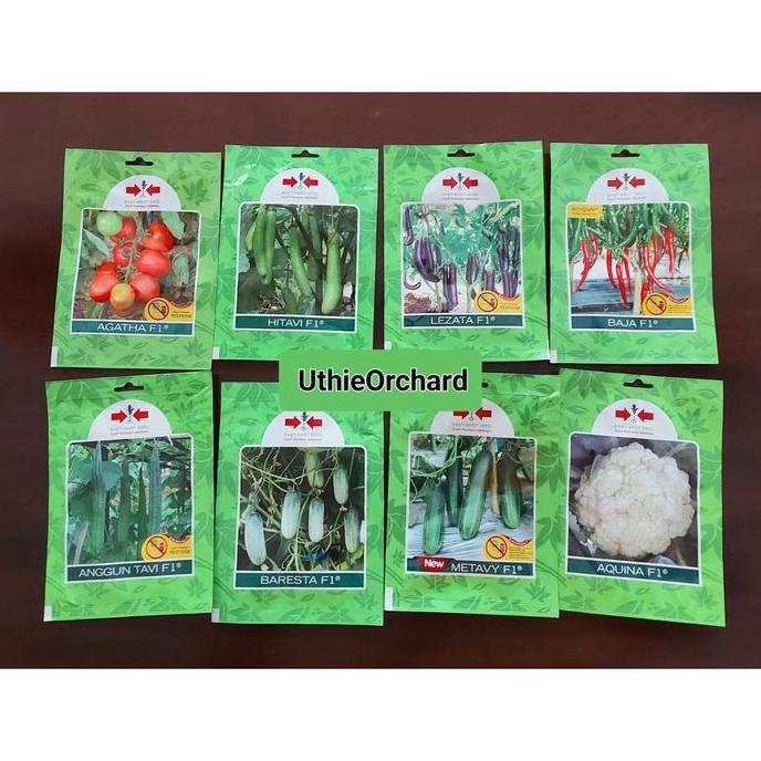 Benih Panah Merah Cabe Merah Besar Baja F1 SP isi 125 Benih