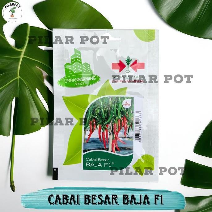 Benih Bibit Cabe Besar Baja F1 Cap Panah Merah - CABAI BESAR BAJA F1 EAST WEST SEED
