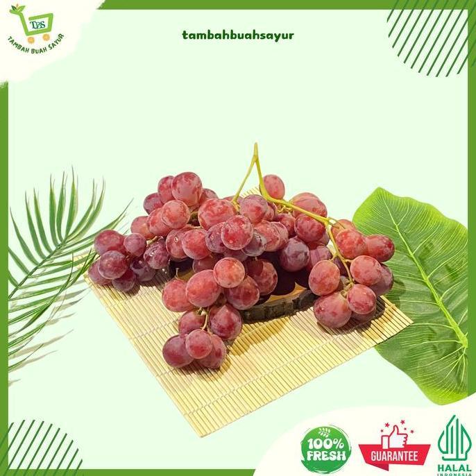 Frutting- Tambah Buah Dan Sayur Anggur Import Manis Anggur Merah Red Globe Manis Garing Renyah Asal 