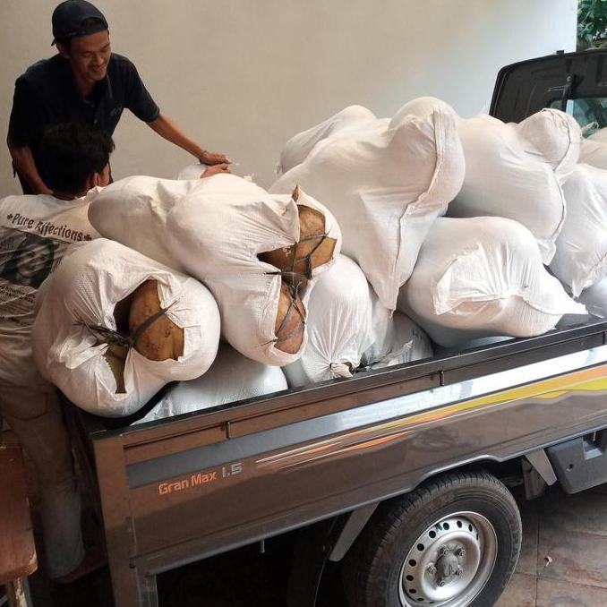 Frutting- Kelapa Kopyor Super, Kelapa Puan, Kopyor