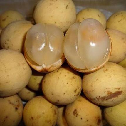 Frutting- Buah Duku Palembang Fresh 1 Kg