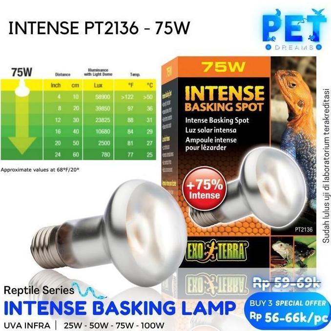 PROMO LAMPU UVA EXOTERRA BASKING INTENSE REPTIL SULCATA TORTO UANNA