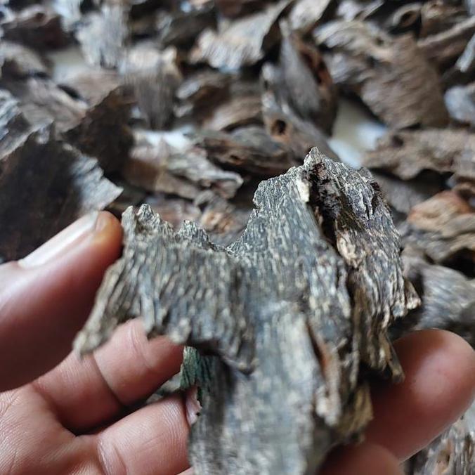 Kayu Gaharu Kalimantan Asli