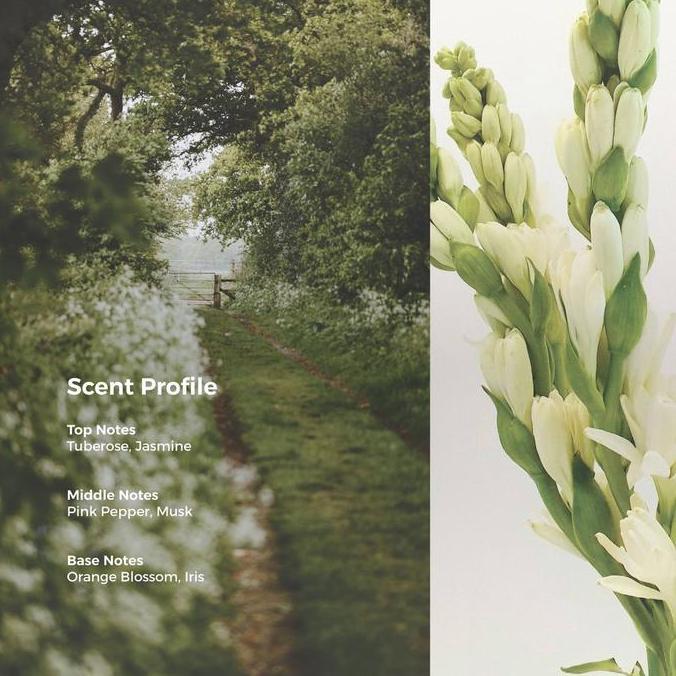 Bytxi- Scents Of Pluto Fragrance - White Floral Bouquet Edp 50 Ml