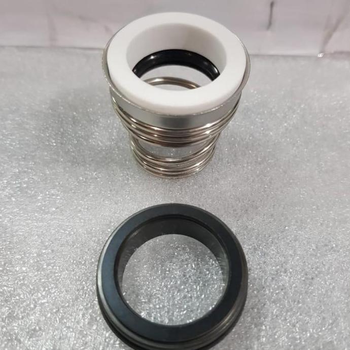 mechanical seal Roten as: 43 mm