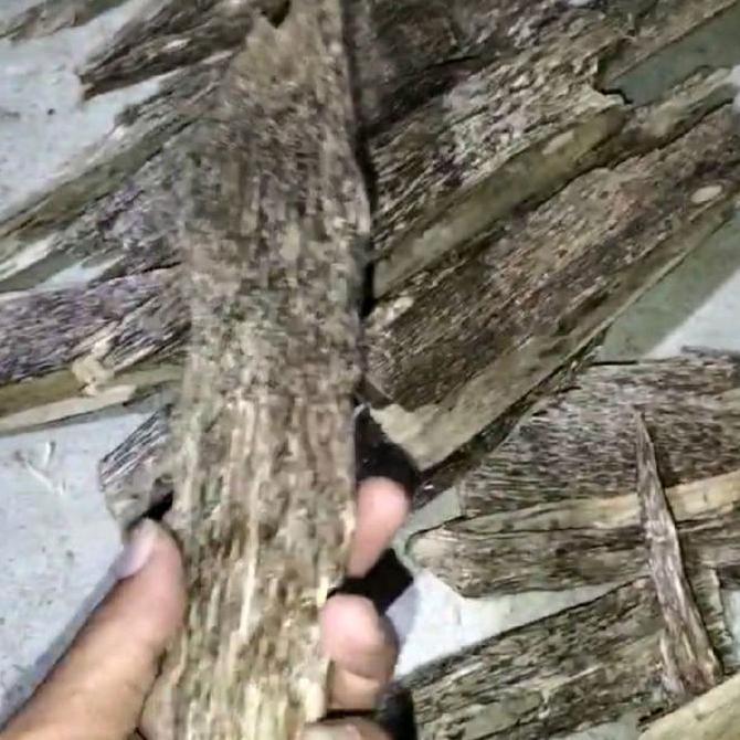 kayu gaharu AB super tipis malacensis