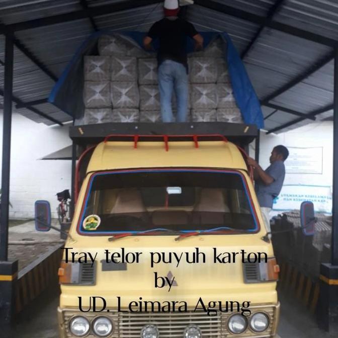 tray puyuh karton/tempat telur puyuh karton
