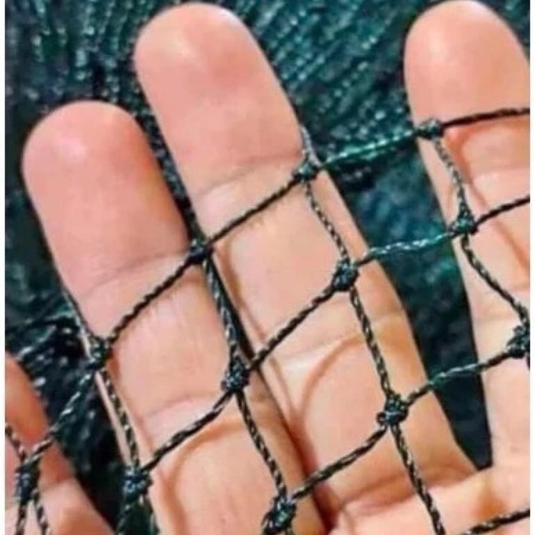 Bisa Cod Jaring Anak Ayam - Ukuran 1M X 10M [Lubang 1Cmx1Cm] ><