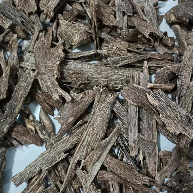 Kayu gaharu alami AB SUPER Kalimantan malacensis