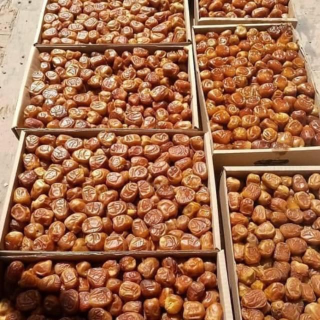 Kurma Sukari 3Kg Original / Sukari Premium 3Kg Murah / Kurma Sukari Premium  Timbangan Lebih