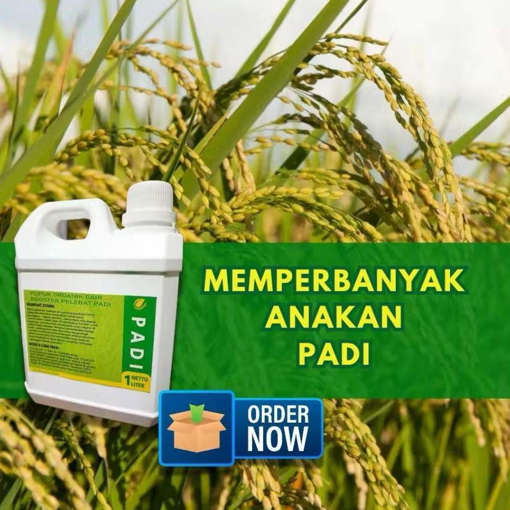 Bisa Cod Pupuk Organik Cair / Pupuk Organik Cair Pupuk Padi Pelebat Anakan Padi Atau Bulir Padi ><