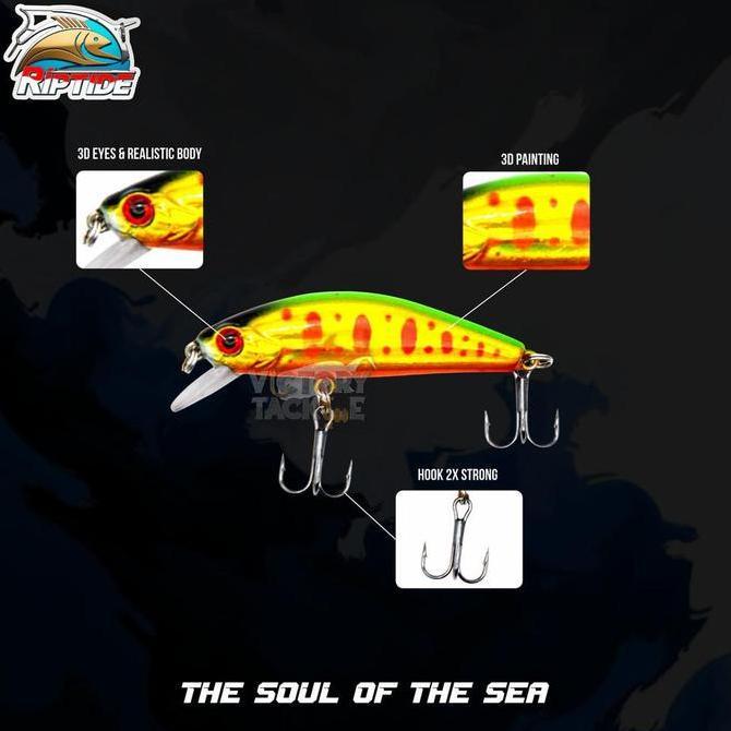 UMPAN PANCING LURE MINNOW Riptide RAIJIN MINNOW SINKING LURE 5.6 CM 6.6 GRAM