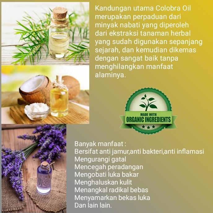 Osimosu- Obat Kadas Kurap Eksim Kudis Paling Ampuh Obat Gatal Selangkangan