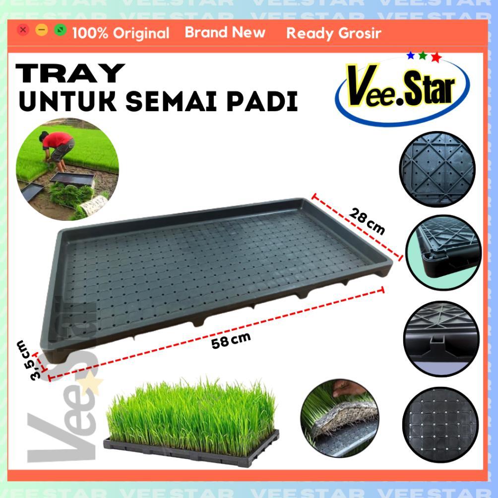 Bisa Cod Tray Semai Bibit Padi / Rice Seedling Tray ><