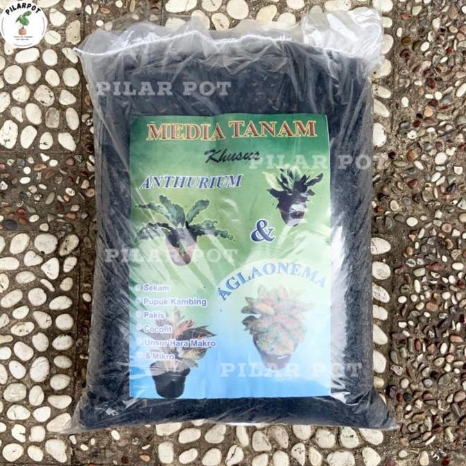 Grdwill- Media Tanam Organik Khusus Anthurium Aglaonema Siap Pakai - Aglaonema
