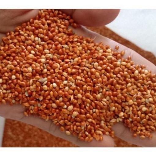 Bridwoi- Milet Merah Karungan 25 Kg