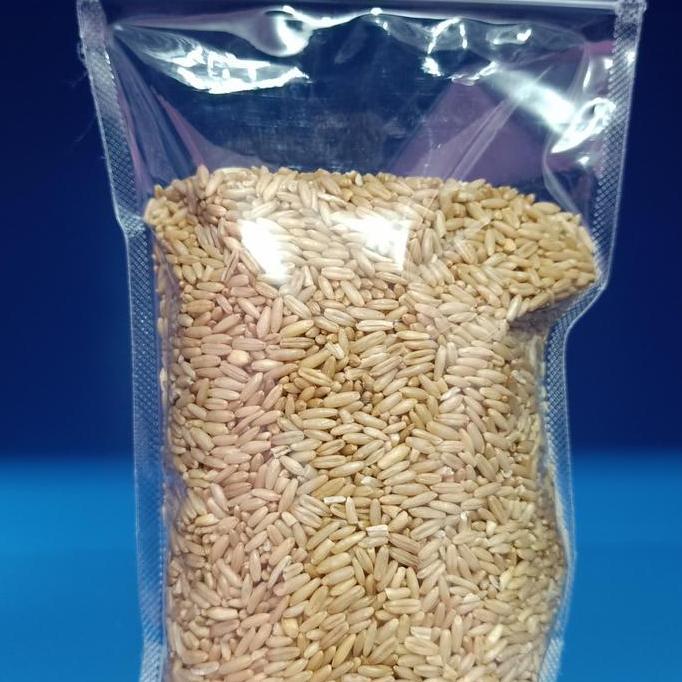 Bridwoi- Haver Seed Kupas 500 Gr - Pakan Burung Lovebird Kenari Falk Sunconure