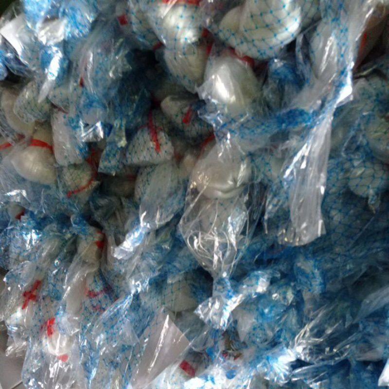 Jaring Burung Jaring Padi Jaring Emprit Jaring Sawah 7,5 X 90 Meter Jebakan Perangkap Burung Jaring3