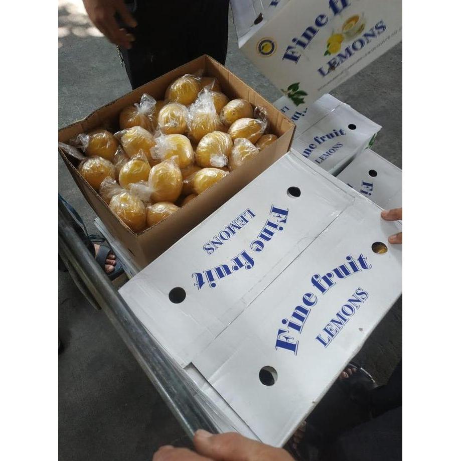 Bnbx- Lemon Califresh Premium 1 Dus (14 Kg) Fresh Import
