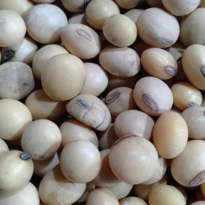Bubuk Kacang Kedelai 1kg