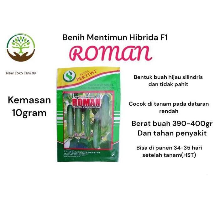 Benih bibit Timun hibrida ROMAN F1 10gram produksi pertiwi