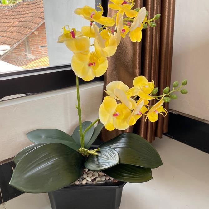 Kantowi- Bunga Anggrek Latek Film 2 Cabang Vas Kotak Hitam Plastik Good Quality 10 Helai Daun Bahan 