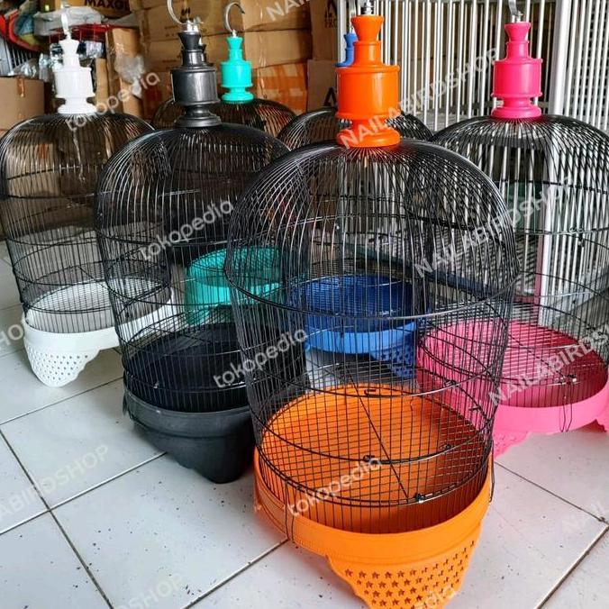 SANGKAR BESI PERKUTUT PUTER SANGKAR KUTUT BESI